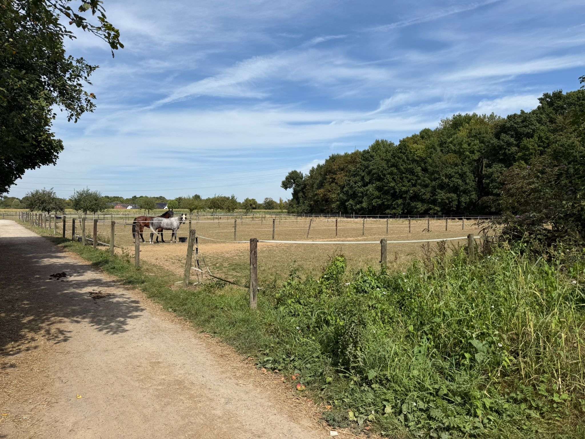 Pastures
